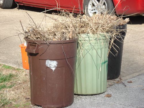 Trash Cans Full of Weeds