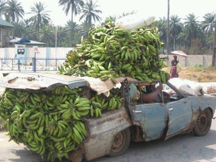 The-Costa-Rica-Banana-Mobile